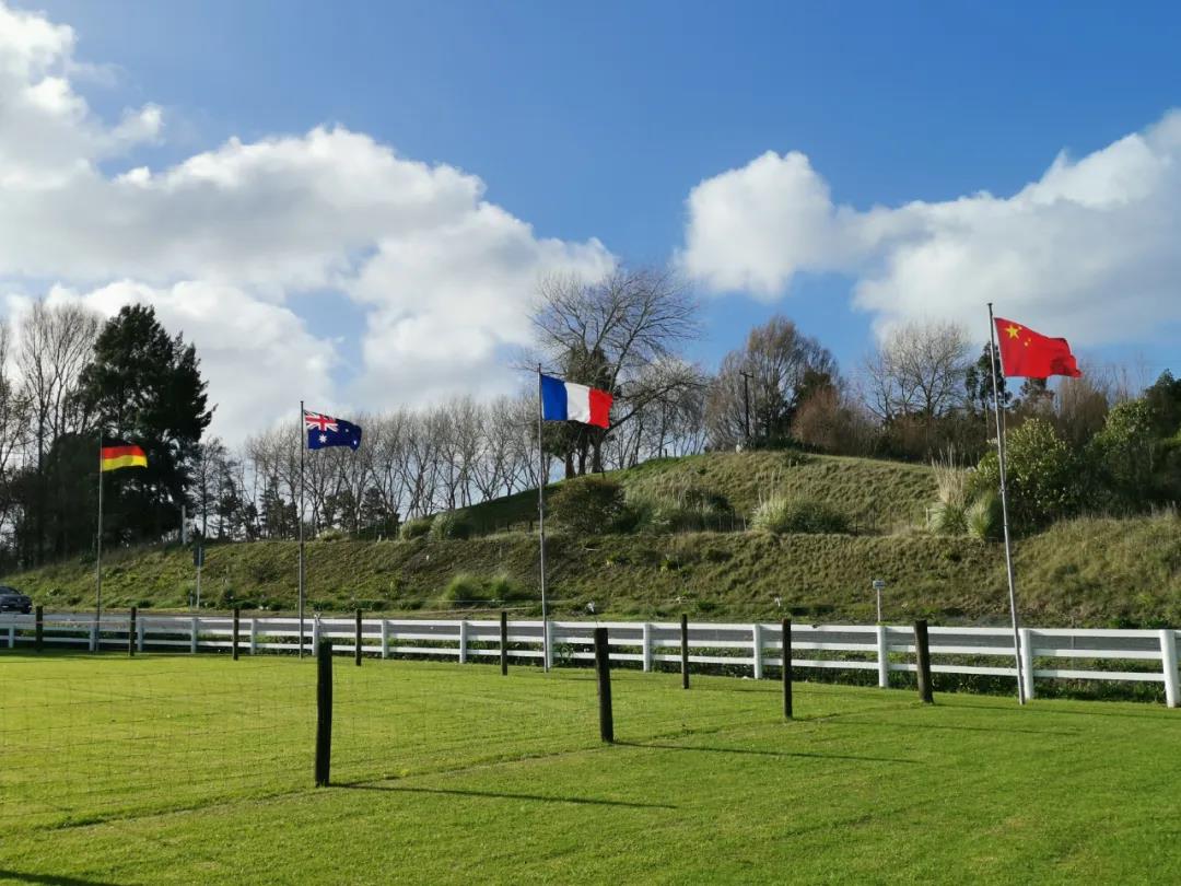 【會展業復蘇】企業卻接連倒下 幸存企業該如何抉擇